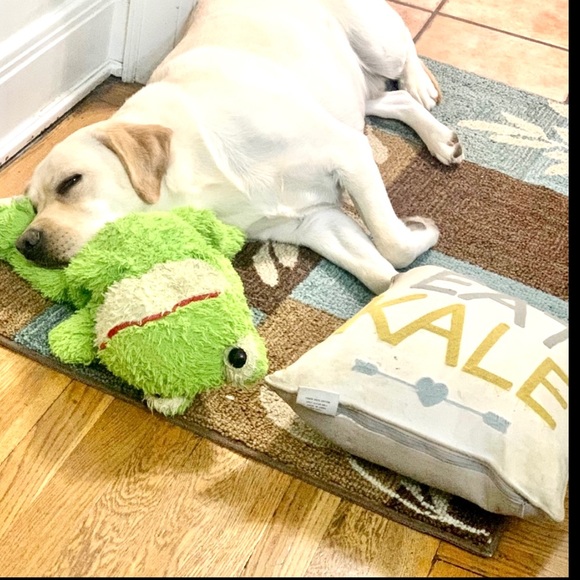 Meet your Posher, Pam - Picture 11 of 16